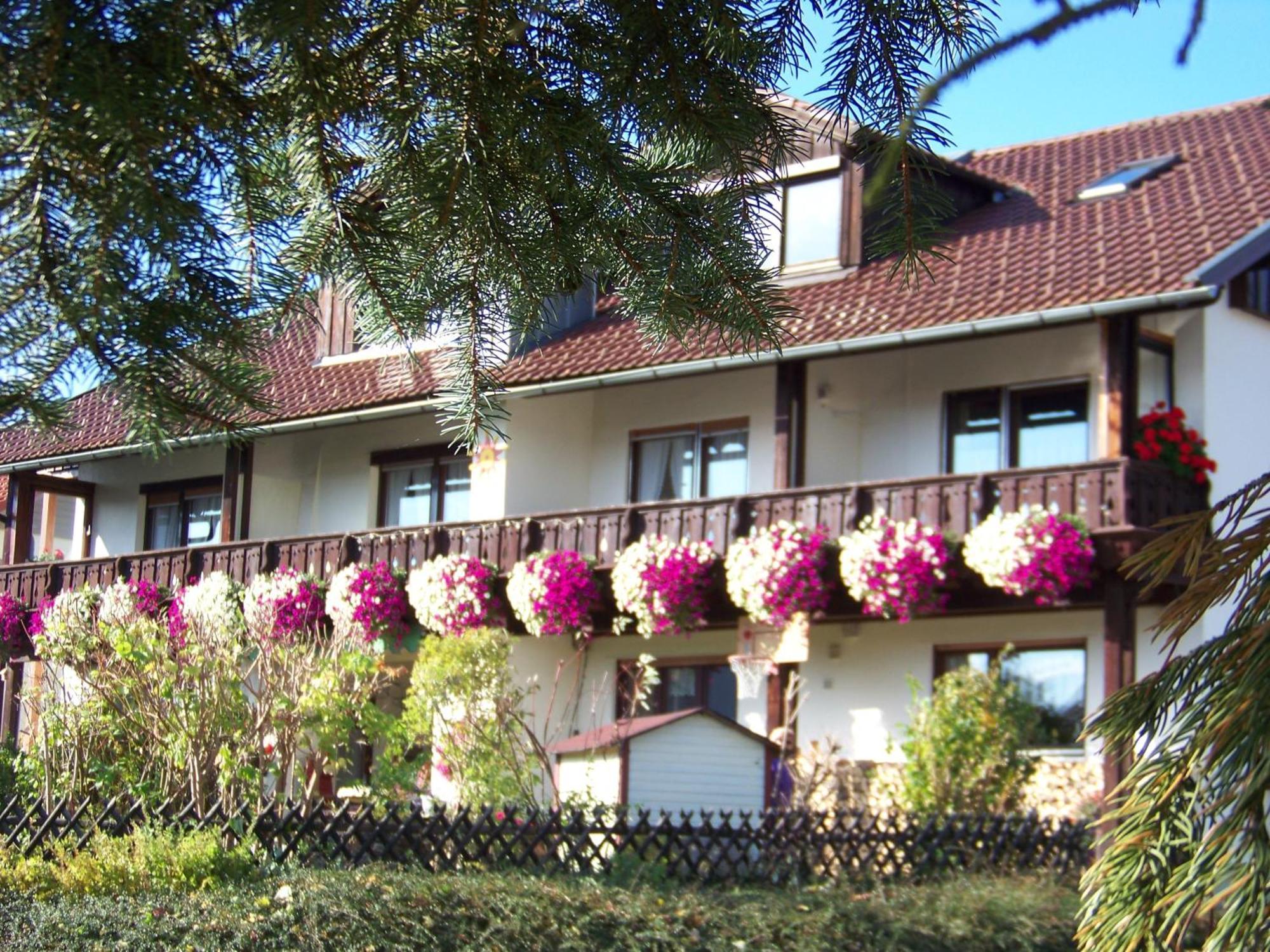 Pension Erna Zwiesel Exterior foto